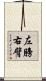 左膀右臂 Scroll