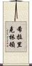 希拉里·克林頓 Scroll