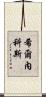 希爾內科斯 Scroll