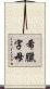 希臘字母 Scroll