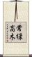 常緑高木 Scroll
