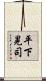 平下晃司 Scroll