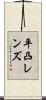 平凸レンズ Scroll