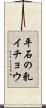 平石の乳イチョウ Scroll
