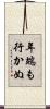 年端も行かぬ Scroll