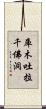 庫木吐拉千佛洞 Scroll