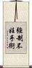 強制不妊手術 Scroll