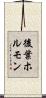 後葉ホルモン Scroll