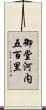 御堂河内五百里 Scroll
