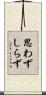 思わずしらず Scroll