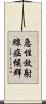 急性放射線症候群 Scroll
