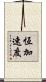 恆加速度 Scroll
