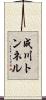 成川トンネル Scroll