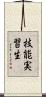 技能実習生 Scroll