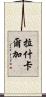 拉什卡爾加 Scroll