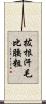 拔根汗毛比腰粗 Scroll
