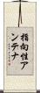 指向性アンテナ Scroll