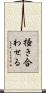 掻き合わせる Scroll