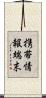 携帯情報端末 Scroll