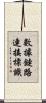 數據鏈路連接標識 Scroll