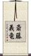 斎藤義竜 Scroll