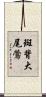 斑背大尾鶯 Scroll