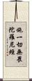 施一切無畏陀羅尼經 Scroll