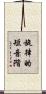 旋律的短音階 Scroll