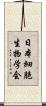 日本細胞生物学会 Scroll