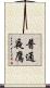 普通夜鷹 Scroll