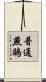 普通燕鷗 Scroll