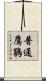 普通鷹鵑 Scroll