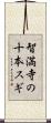 智満寺の十本スギ Scroll