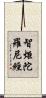 智炬陀羅尼經 Scroll