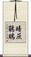 暗灰鵑鵙 Scroll