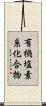 有機塩素系化合物 Scroll