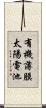 有機薄膜太陽電池 Scroll