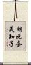 朝比奈美知子 Scroll