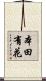 本田有花 Scroll