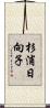 杉浦日向子 Scroll