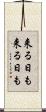 来る日も来る日も Scroll