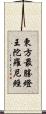 東方最勝燈王陀羅尼經 Scroll