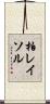 柏レイソル Scroll