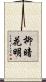 柳暗花明 Scroll