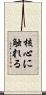 核心に触れる Scroll