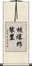核爆炸裝置 Scroll