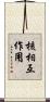 核相互作用 Scroll