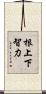 根上下智力 Scroll