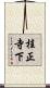 桂正寺下 Scroll