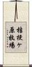 桔梗ヶ原牧場 Scroll